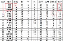 开云体育在线-包含莱切斯特城中场索伦森精准助攻，助球队扩大领先的词条