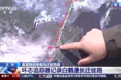 开云体育登录入口-吉林队吞下失败，实力暴露问题的简单介绍