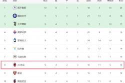AC米兰击败强敌，登顶意甲榜首