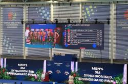 开云体育在线登录-新加坡选手勇夺跳水冠军，实现突破性胜利