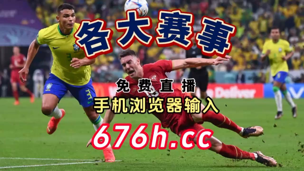 波兰对斯洛文尼亚：疯狂争夺欧洲杯资格的简单介绍
