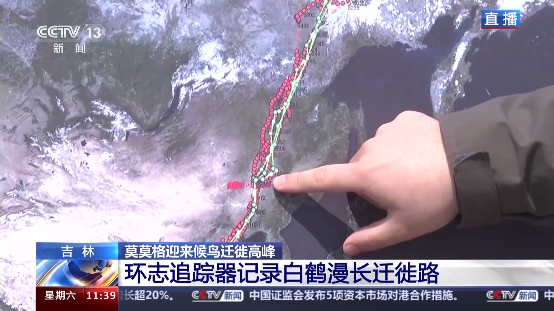 吉林队吞下失败，实力暴露问题的简单介绍